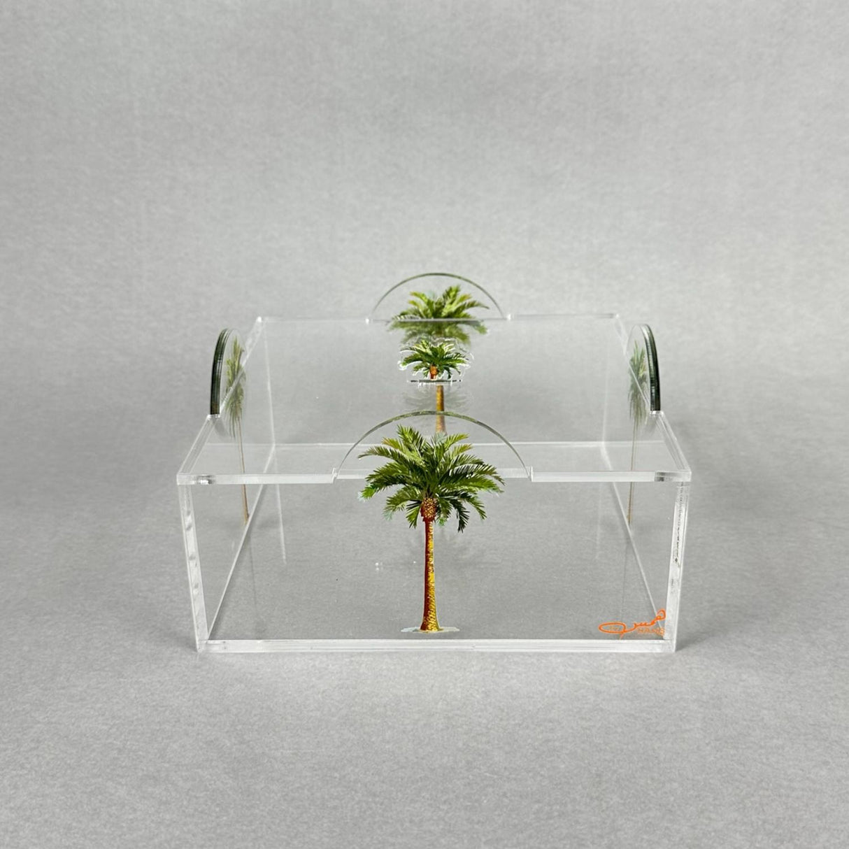 بوكس أكريليك بتصميم النخيل