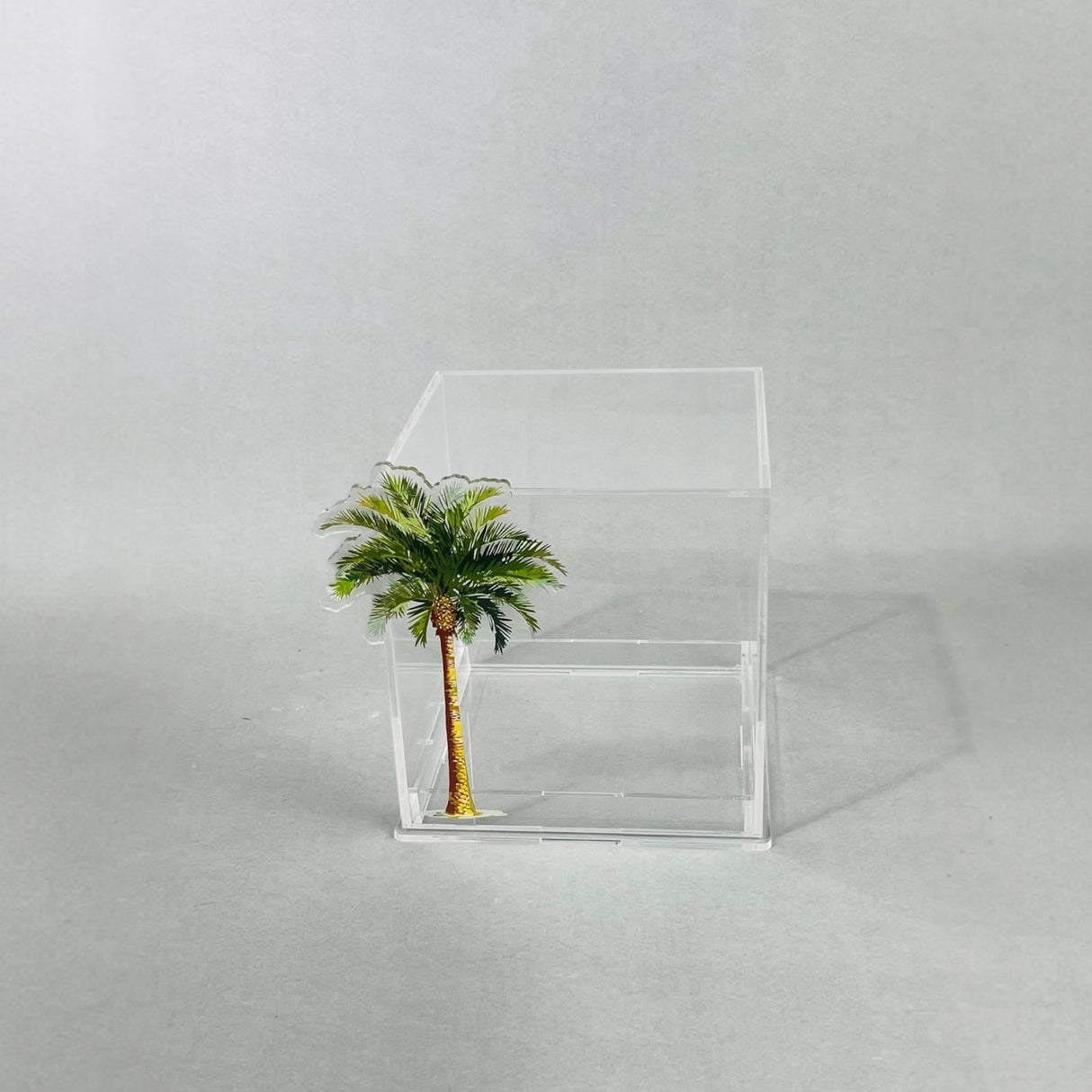 علبة تقديم الكيك والحلويات - بتصميم نخلة فاخرة