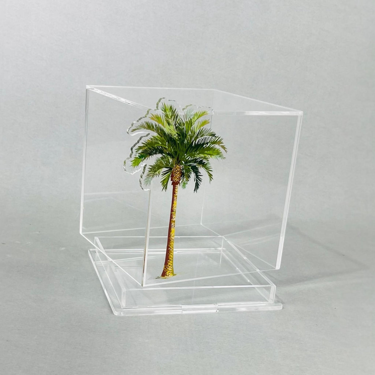 علبة تقديم الكيك والحلويات - بتصميم نخلة فاخرة